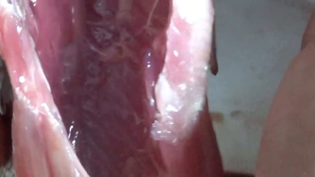 Как надо солить рыбу смотреть онлайн