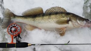 МЫ В ШОКЕ ОТ КЛЁВА!!! Эти зубастые отрывают балансиры. Рыбалка на Оке.