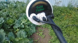 ТХ-850. Китайский снайпер на огороде