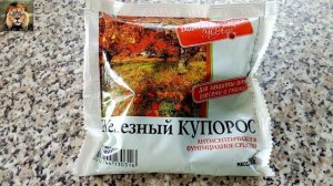 Весенняя обработка винограда железным купоросом пропорции