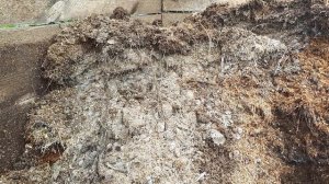 Сенная палочка!