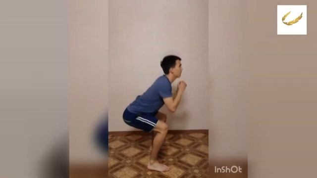 Кафедра водных видов спорта. Комплекс упражнений для пловцов для выполнения в домашних условиях смотреть онлайн