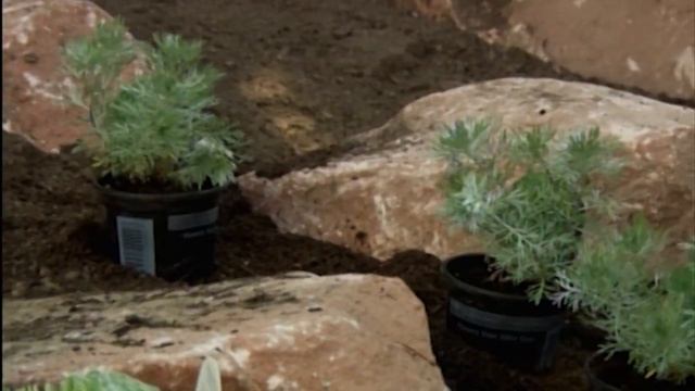 Love Your Garden - Rockery смотреть онлайн