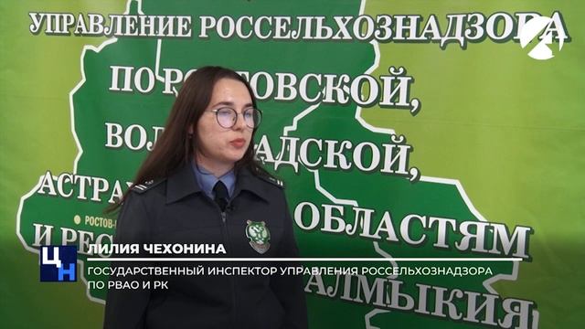 Зерно. смотреть онлайн