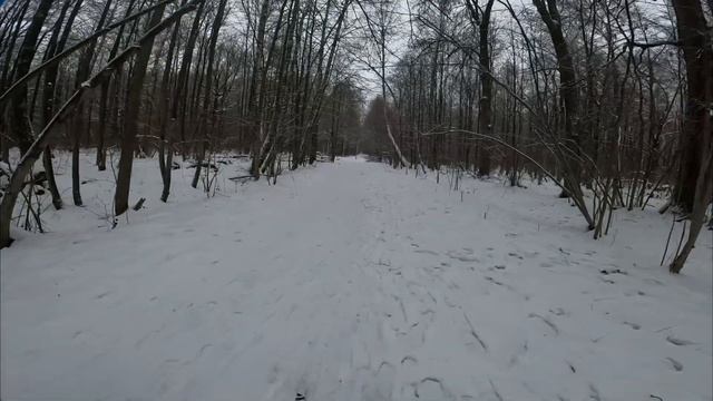 Открываю лыжный сезон Впервые встал на лыжи и учусь кататься смотреть онлайн