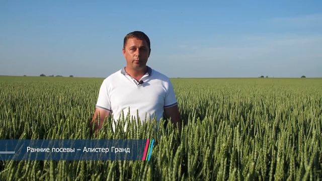 Озимая пшеница: технология возделывания и защиты. Дни Поля - 2020. смотреть онлайн