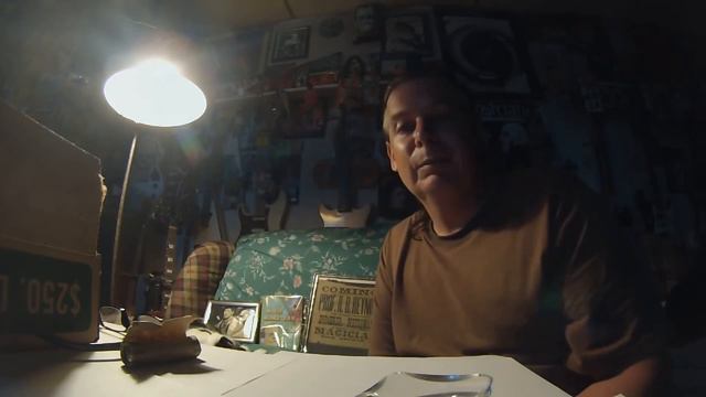 Chris Fry CRH Coin Roll Hunting awaiting Garrett Ace 250 Vincent Price story 1972 Gibson SG guitar смотреть онлайн