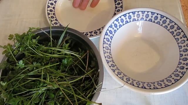 Кулинарный мир вкуса