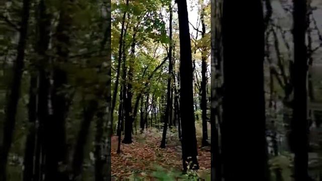 1000001746.mp4 смотреть онлайн