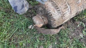 Медь!!!Очень много меди!Супер кабан!