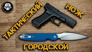 Суровый складной тесак. Обзор городского тактического ножа Parrot от DAGGERR KNIVES.