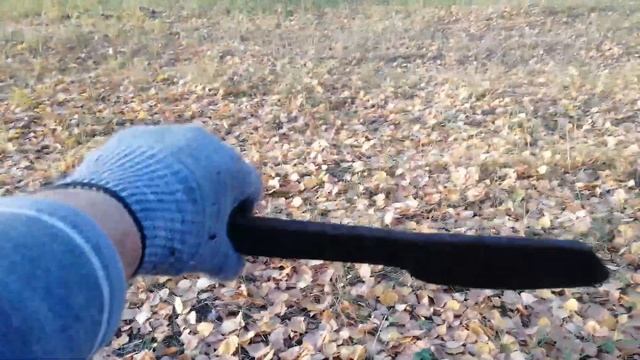 Советская поляна. Коп 14.10.2020-Поиск с металлоискателем MD6250