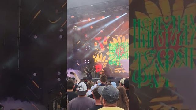 Нейромонах Феофан. Дикая мята 2023 смотреть онлайн