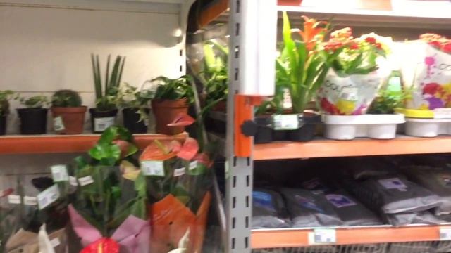 Inside of Russian supermarket ? in Bishkek| VLOG | Indian in Bishkek смотреть онлайн