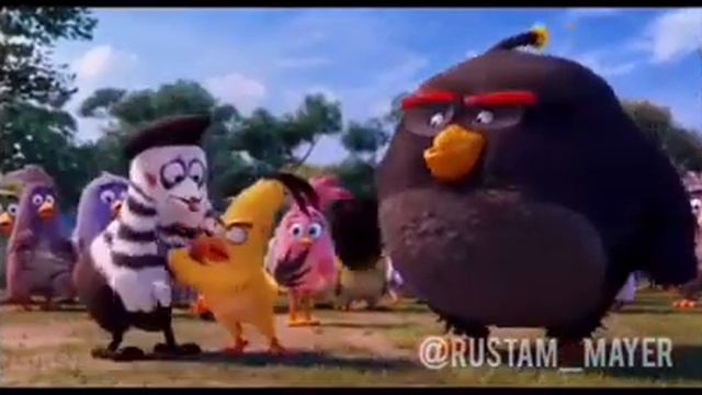 ЗЛЫЕ ПТИЦЫ|ОЗВУЧКА ОТ ДЖАВИДА! смотреть онлайн