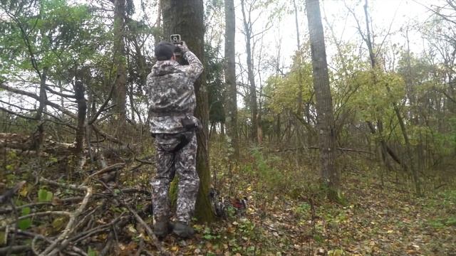 15 Жутких Вещей в Лесу, Снятых На Охотничью Камеру-Ловушку смотреть онлайн