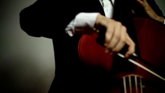 Case Comigo! empresa especializada em musicas para casamentos смотреть онлайн
