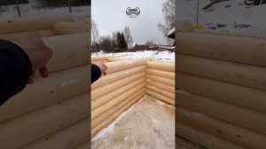 Сборка бани из оцилиндрованного брёвна 220 мм