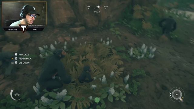 PLAY AS AN APE & TRY TO SURVIVE!! (Ancestors: The Humankind Odyssey) смотреть онлайн