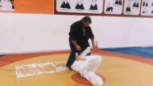 Приемы Айкидо для самообороны в реальной жизни.