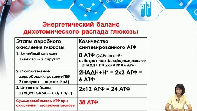 Лекция 6. Обмен углеводов. Аэробный гликолиз. Пентозофосфатный путь распада глюкозы смотреть онлайн
