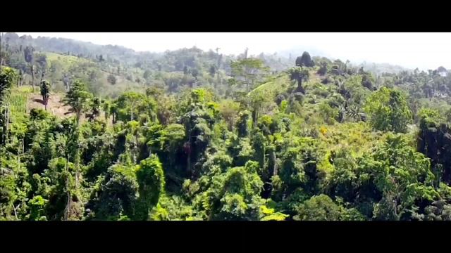 New Tour Of Leboni Waterfall, With Natural Beauty - Drone SJRC F22S 4K PRO смотреть онлайн