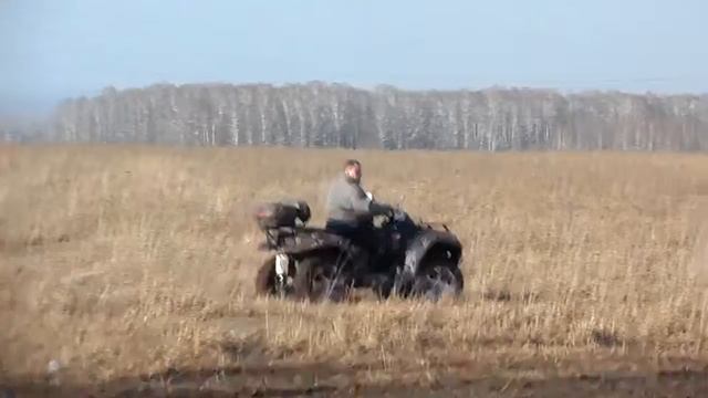 T Rex 550 helicopter flights Novosibirsk ч30 смотреть онлайн
