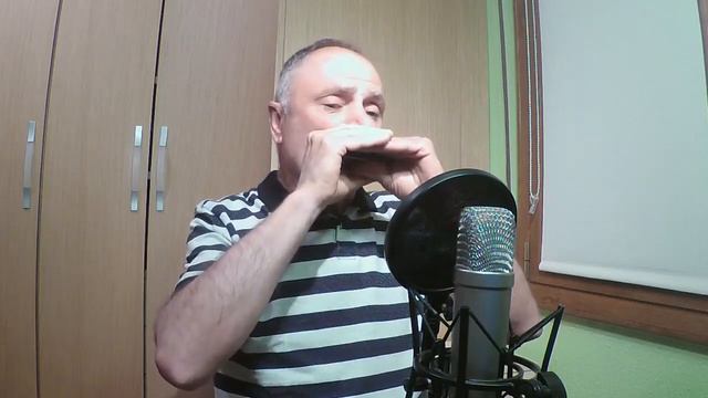 HAPPY TOGETHER The Turtles-armónica harmonica смотреть онлайн