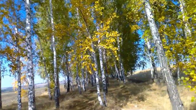 Корочанский район/СКАЗОЧНЫЙ СЕНТЯБРЬ/ПРОГУЛКА смотреть онлайн