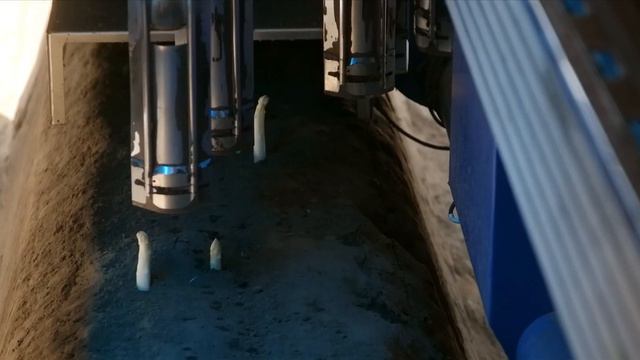 The Next Generation White Asparagus Harvesting Robot - AvL Motion (2021)