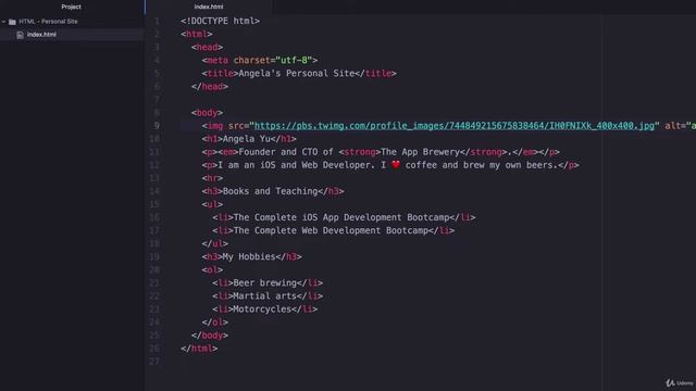 HTML Image Elements | 100 Days of Code: The Complete Python Pro Bootcamp for 2022 смотреть онлайн