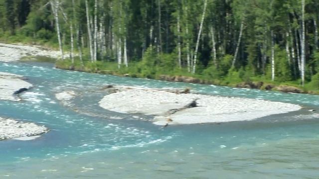 Река Катунь смотреть онлайн