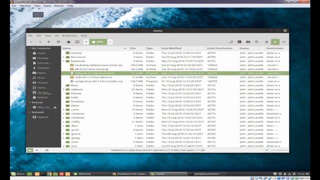HOW TO INSTALL NETBEANS 8.2 ON LINUX - Programming for the Web смотреть онлайн