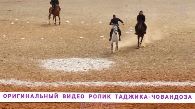 ЧОВАНДОЗ - оригинал видео наездник (скакун) из Таджикистана (его имя Достон) Taj-Global TV смотреть онлайн