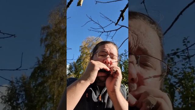 Blind Ola played on Seydel Concerto Steel Harmonica смотреть онлайн