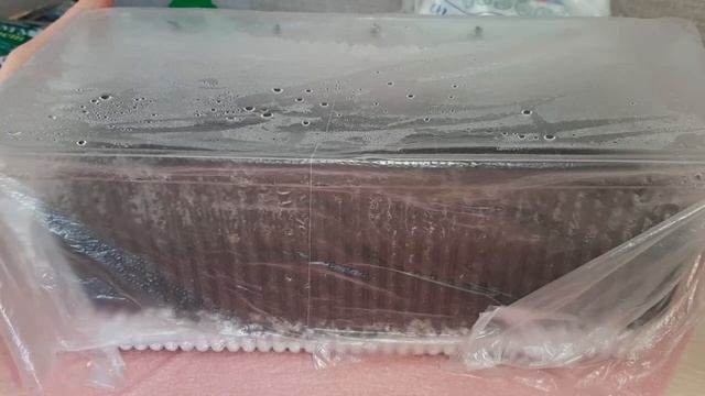 Всходы ЭУСТОМЫ 2022. Уход за рассадой в условиях квартиры, досвечивание, подкормки... смотреть онлайн