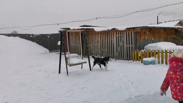 Украшаем Дом к Новому Году 2021/Едем На Детскую Площадку/Хочу Дискотеку/Отличный Выходной/20.12.20 смотреть онлайн