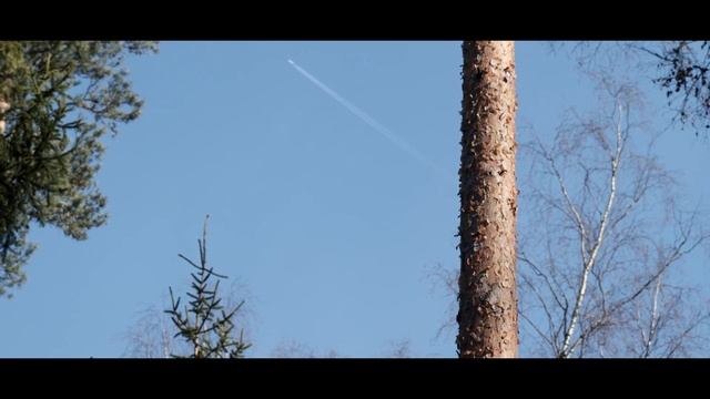 Прогулка до озера Суехра (Казённое) снимал на Canon 250D в 4K video смотреть онлайн