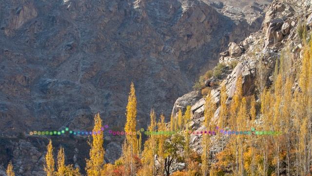 Раисат Магомедова - Несравненная весна 2023 смотреть онлайн