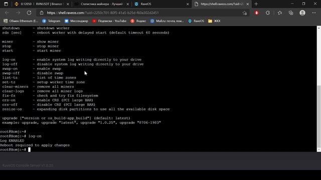 Rave Os. Просмотр логов T-Rex, GMiner, Kawpow miner и других смотреть онлайн