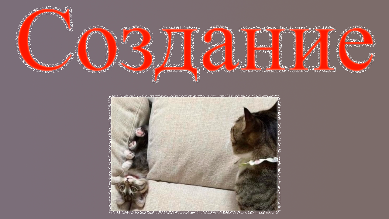 Сайт который создаёт фото несуществующего котика онлайн смотреть онлайн