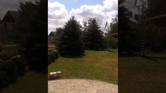 Хорошо летом на даче...птицы поют смотреть онлайн