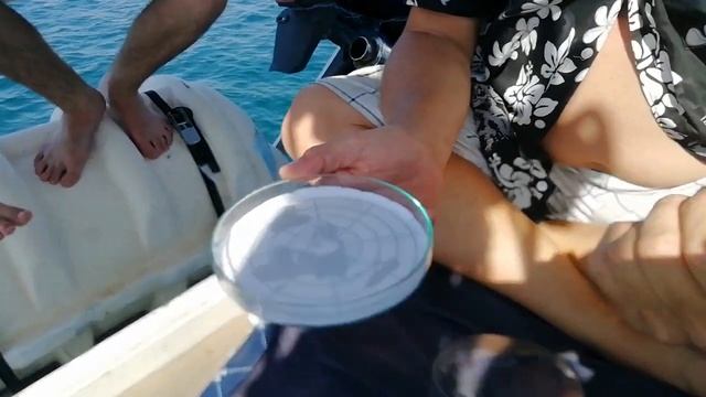 Эпсилон-цель смотреть онлайн