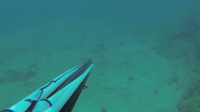 Водолаз не поверил своим глазам! Большой самородок золота или что-то иное? смотреть онлайн