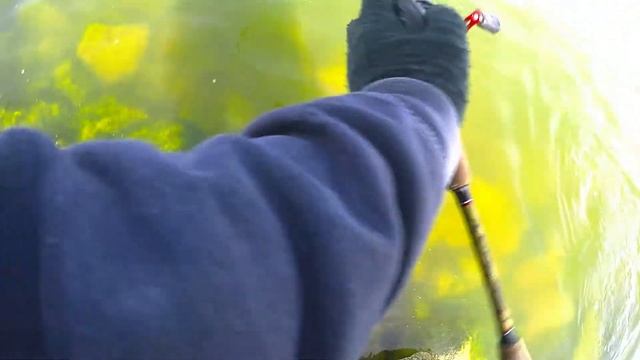 When I'm not in my Mustang... I'm Fishing??? смотреть онлайн