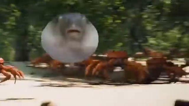 Pufferfish rave but the speed is x10 смотреть онлайн