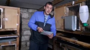 выгодно ли держать кроликов