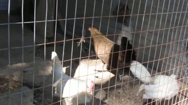 Парк Миниатюр в Бахчисарае.... смотреть онлайн