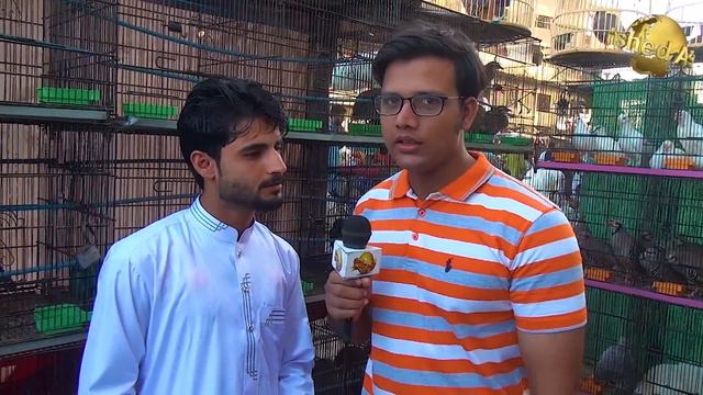 Saddar Exotic Birds Market 4-10-20 Cockatoos Scarlet macaw African Grey Parrot Latest Updates Video смотреть онлайн