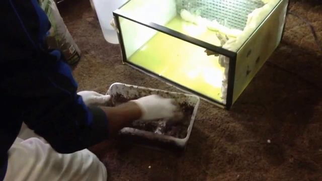 TITEBOND 3 METHOD смотреть онлайн